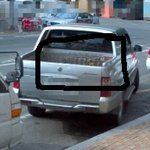 (사진有)식용 누렁이를 봤어요!!!!!!!!!!!!