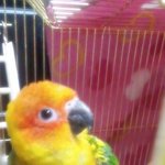 <b>new</b> 사진인증