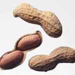 땅콩과 초콜릿, <b>혈압</b>과 콜레스테롤에 좋아요 