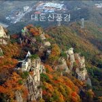 <b>정화</b>짤이야