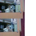 (사진有)★★★★★★★★저희 <b>복돌</b>이좀 찾아주세요ㅠㅠㅠㅠ★★★★★★★★