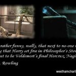 ★☆★☆사진有) 해리<b>포터</b>의 충격적인 진실 ★☆★☆