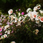 ★★김대중대통령이 일본인에게 <b>한말</b>(+수정)★★