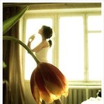 [3탄]원근법을 이용한 순간<b>포착</b>사진 (다시올립니다 ㅠㅠ)