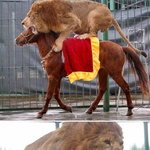 <b>대륙</b> 시리즈 1