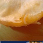 <b>대륙</b> 시리즈 2