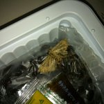 풀무원 나방 낫또