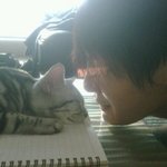 애완<b>동물</b>을 아끼는 모습이 훈훈한 스타들