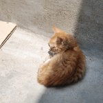 돌아온 땅콩잌.ㅋㅋ(스압쩜..시간나신분들만 보시길..)