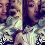 미쓰에이 <b>페이</b>, 애완견 주인하고 닮았나?