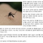 모기 니들 인제 <b>멸종</b>이다!!!