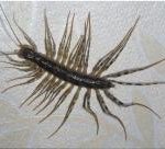 저 인증샷