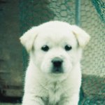 마땅히 <b>올리</b> 사진도 없고해서.. 걍............