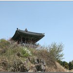 『조선 삼도수군통제<b>사</b> 충무공 이순신 장군 전기』9.삼도수군통제<b>사</b>...