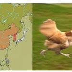 (사진有)(혐짤없음)   일본