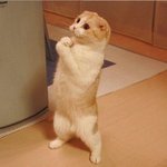 다읽어보세요.(특히<b>개독</b>이라고하시는분들)