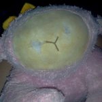 ★☆★<b>눈알</b>이 없는 무서운 핑크(사진有)★☆★