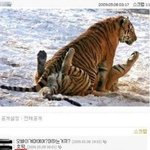◆◆◆◆웃긴댓글<b>모음</b> [8탄]◆◆◆◆ (스압주의)