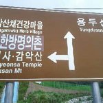 혹시 <b>뒷산</b>이라고 가보셨나요? 사진you