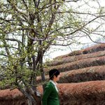 저인데...십사키로 찌고... 이제 발차기도안되네요.. 살뺍<b>시다</b>..