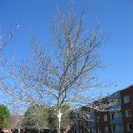 [충격有]  마을초토화 ☆☆☆