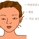 ★현실.<b>님들</b>얼굴 ★여자만★(사진有)★