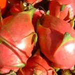 이중에서 몇개나 먹어봤음?? ◆◇신기한 과일들