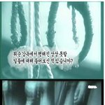 일본의 만행 8.15 <b>광복</b> 만세!