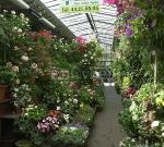 ★☆★(만약) 여러분이 연애를 한다면???2☆★☆