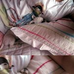 우리집 개 <b>시루</b>는 사람품을 너무 좋아해요ㅋㅋ