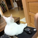 더러운 세상  24살에 사춘기가 왔따