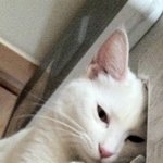 아...<b>슈발</b> 힘들다