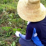 ★사진有★ 21살소나무재테크남보고잇나?난 조경집딸내미!!!!!!...