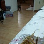 오징어노리는 울<b>집개</b>