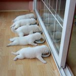 남자가 부른 아이유 - 좋은날 <b>rock</b> cover