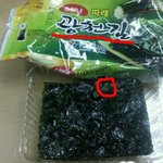 김에서 <b>벌레</b>나왔어요 ㅠ_ㅠ