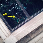 ★☆★(<b>사진</b> 有) <b>심령사진</b> 찍혔는데 저만보이는건 아니죠??★☆★