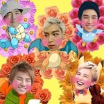 눈정화 <b>and</b> 배경화면 투척투척