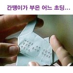 <b>개독</b>관련 짤모음