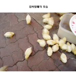 ★공감★ 중학교&amp;고등학교 <b>현실</b>