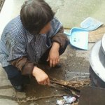 <b>소각</b>행위 신고합니다!!!!!!!!