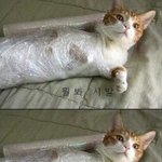 ★★※ <b>사진</b> 有) 제발,,제발<b>저</b>좀한번만봐주세요..※★★