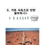 육식을즐기는당신을위한...4