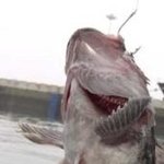 유리 "쇼핑몰위해 벗었다"…비키니<b>피팅</b>도 직접