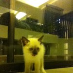 돌콩아 형아가 무능해서 미안해....