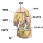 23남자의 유리몸 신세 한탄