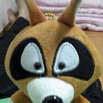 새끼길냥이 <b>무료</b>로 분양해드립니다(살짝건강이 좋지안음) 사진 有