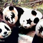 <b>팬더</b>!!!!!