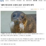 나도 만들어 본ㅋ 길지만 빵터지는 웃긴 댓글1