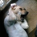 비싼 운동화들에 <b>좌절</b>하던 나..